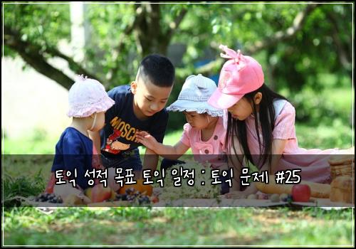 토익 성적 목표 토익 일정 : 토익 문제 #25