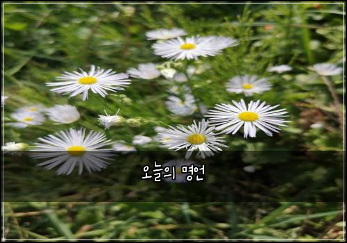 오늘의 명언