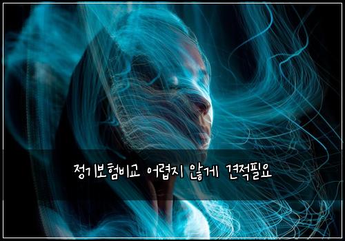 정기보험비교 어렵지 않게 견적필요