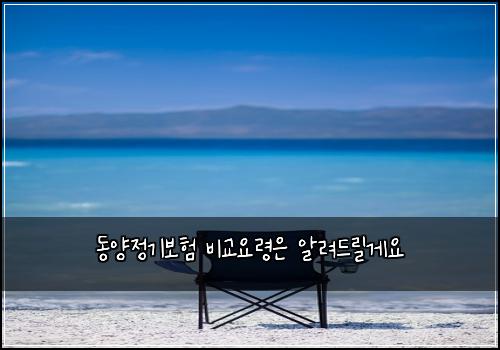 동양정기보험 비교요령은  알려드릴게요