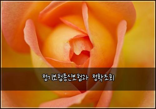 정기보험종신보험과 정확조회