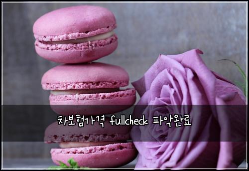 차보험가격 fullcheck 파악완료