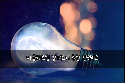 ์๋์ฐจ๋ณดํ ๋งก๊ฒจ๋ณด๊ธฐ ์ถ์ฒ ๊ฒฌ์ ๋น๊ต