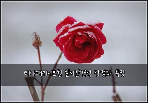 태아패키지보험 실시간견적  장점과 특징