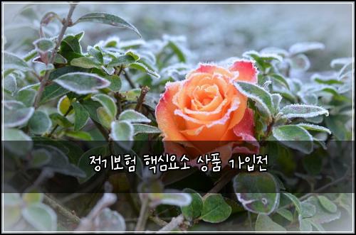 ์ ๊ธฐ๋ณดํ ํต์ฌ์์ ์ํ ๊ฐ์
์ 