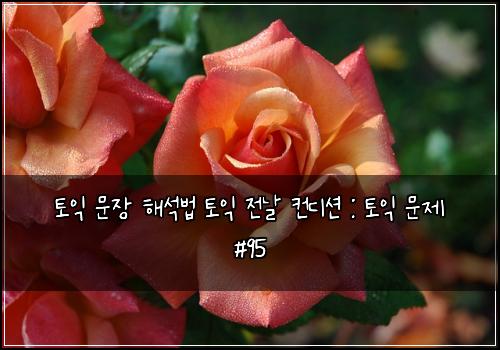 토익 문장 해석법 토익 전날 컨디션 : 토익 문제 #95