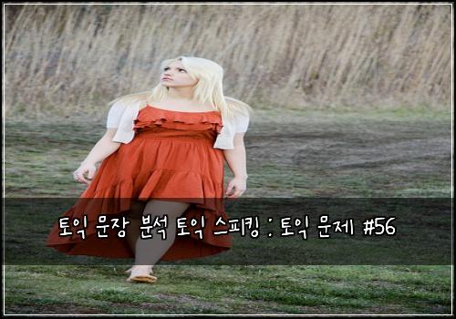 토익 문장 분석 토익 스피킹 : 토익 문제 #56