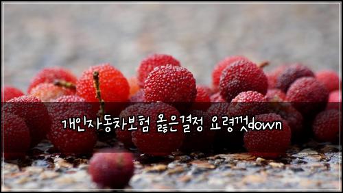 ๊ฐ์ธ์๋์ฐจ๋ณดํ ์ณ์๊ฒฐ์ ์๋ น๊ปdown