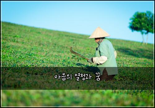 마음의 열정과 꿈