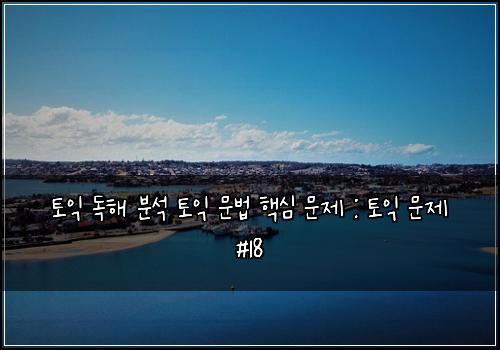 토익 독해 분석 토익 문법 핵심 문제 : 토익 문제 #18