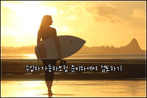 수입차자동차보험 준비하세여  검토하기