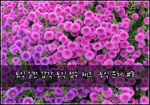 토익 실전 감각 토익 점수 체크 : 토익 문제 #71