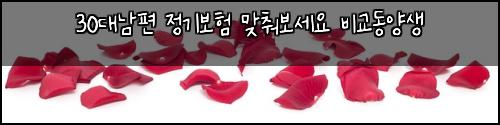 30대남편 정기보험 맞춰보세요  비교동양생
