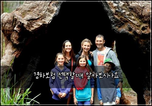경차보험 선택할때  알아보시나요