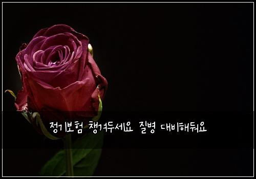 정기보험 챙겨두세요  질병 대비해둬요