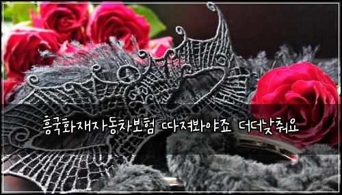 흥국화재자동차보험 따져봐야죠  더더낮춰요
