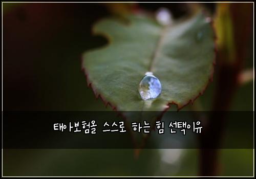 태아보험올 스스로 하는 힘 선택이유