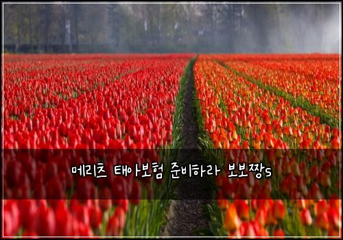 메리츠 태아보험 준비하라  보보짱s