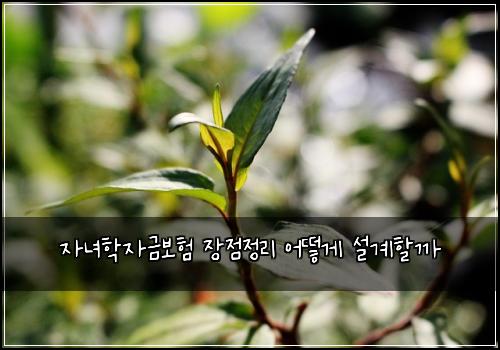 자녀학자금보험 장점정리  어떻게 설계할까