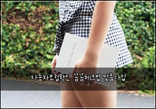 ์๋์ฐจ๋ณดํํ์ธ ๊ผผ๊ผผ์ฒดํฌ๋ฒ ๋ง์ถค๊ฐ์