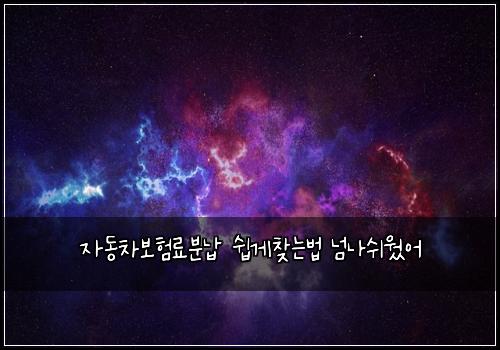자동차보험료분납 쉽게찾는법 넘나쉬웠어