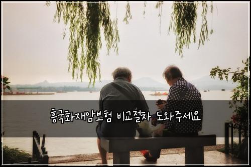 흥국화재암보험 비교절차  도와주세요