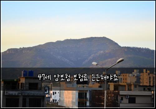 47세 암보험 보험료 든든해야죠