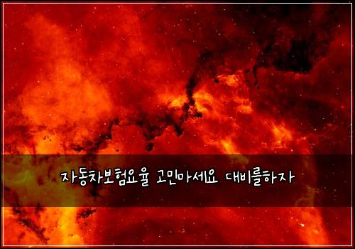자동차보험요율 고민마세요 대비를하자