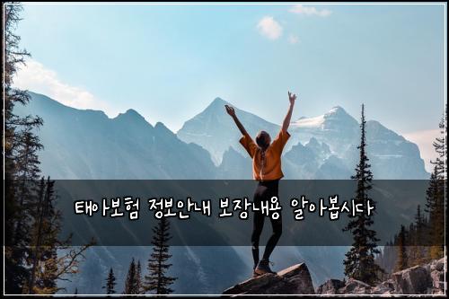 태아보험 정보안내  보장내용 알아봅시다