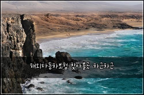 해외자동차보험 찾아볼곳  차근차근