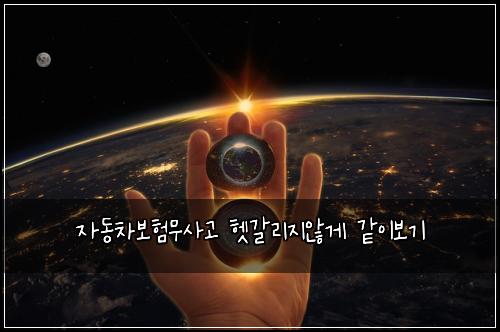 ์๋์ฐจ๋ณดํ๋ฌด์ฌ๊ณ ํท๊ฐ๋ฆฌ์ง์๊ฒ ๊ฐ์ด๋ณด๊ธฐ