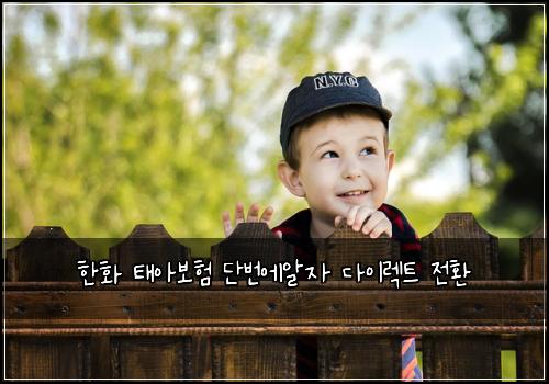 한화 태아보험 단번에알자  다이렉트 전환