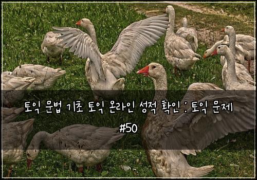 토익 문법 기초 토익 온라인 성적 확인 : 토익 문제 #50