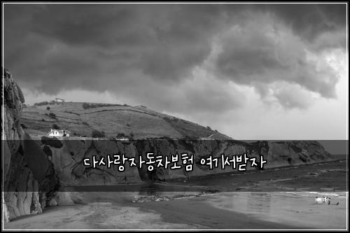 다사랑자동차보험 여기서받자 
