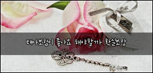 태아보험이 좋나요 해야할까 확실보장
