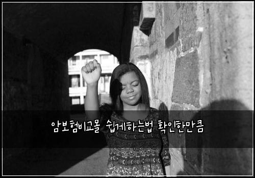 암보험비교몰 쉽게하는법 확인한만큼
