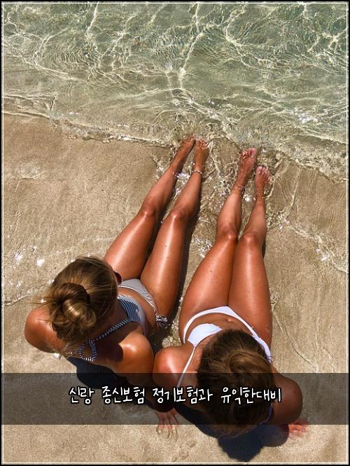 신랑 종신보험 정기보험과 유익한대비