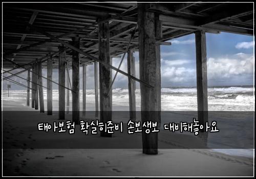태아보험 확실히준비  손보생보 대비해놓아요