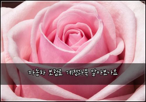 자동차 보험료 계정과목 알아보나요