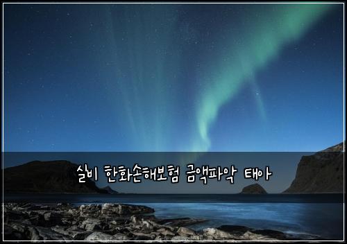실비 한화손해보험 금액파악  태아
