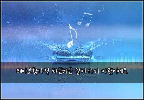태아보험가격 차근차근 알아가기 마련이에요