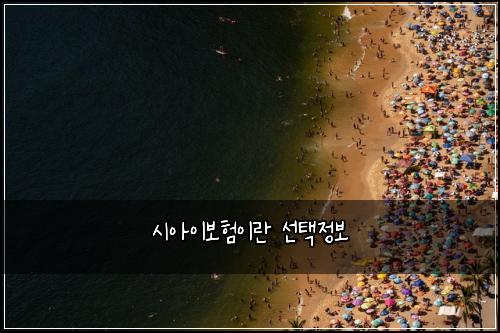 시아이보험이란 선택정보