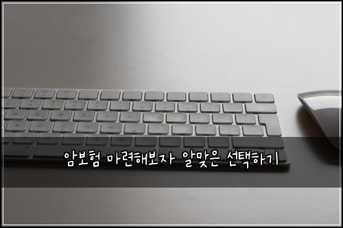 암보험 마련해보자  알맞은 선택하기