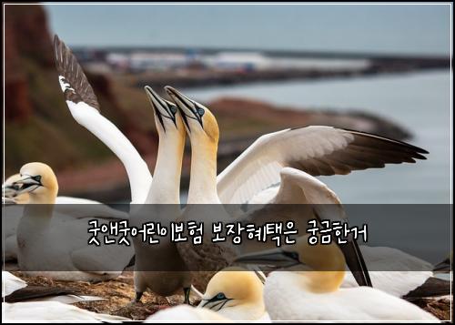 굿앤굿어린이보험 보장혜택은  궁금한거