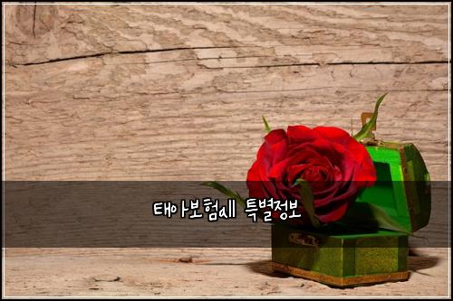 태아보험all 특별정보