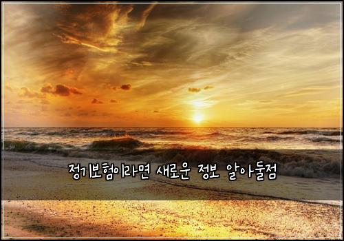 정기보험이라면 새로운 정보 알아둘점