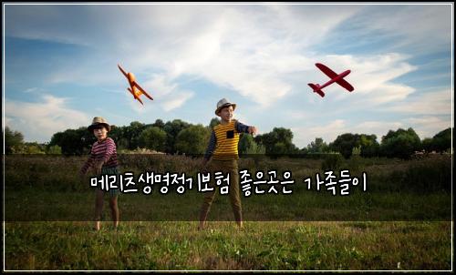 메리츠생명정기보험 좋은곳은  가족들이