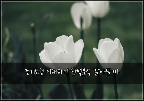 정기보험 이해하기  완벽분석 갈아탈까
