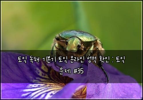 토익 독해 기본기 토익 온라인 성적 확인 : 토익 문제 #35