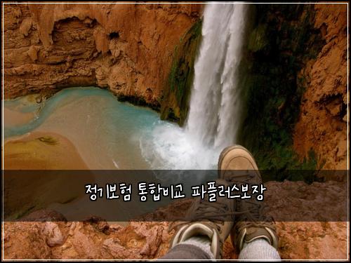 정기보험 통합비교  파플러스보장